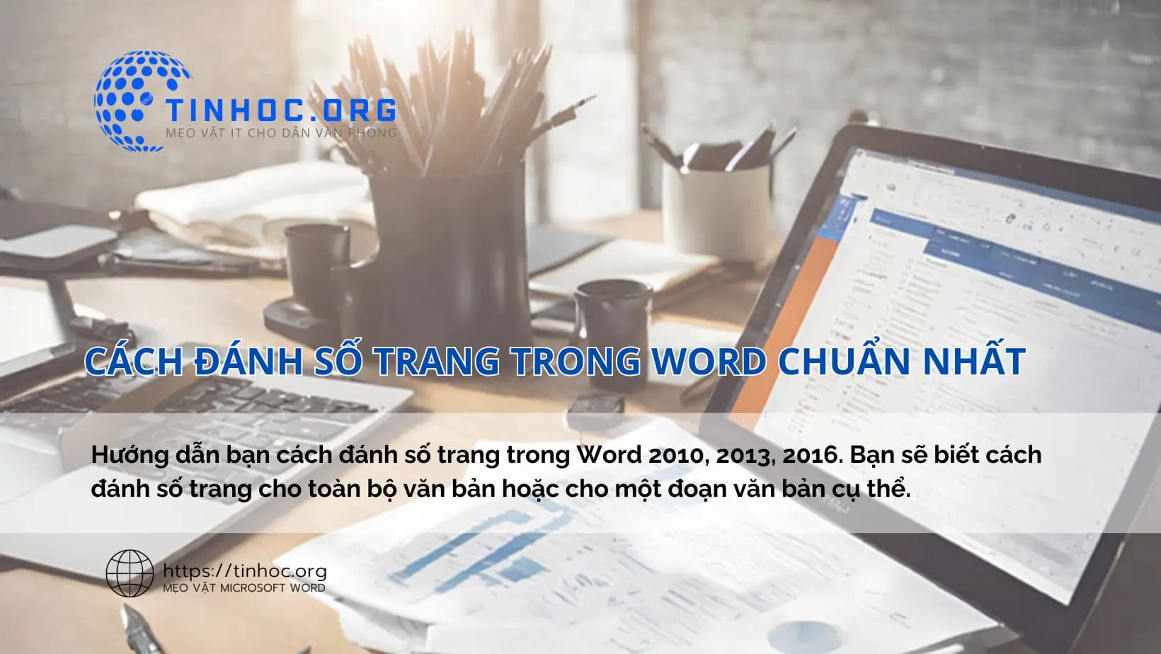 Cách đánh số trang trong Word chuẩn nhất