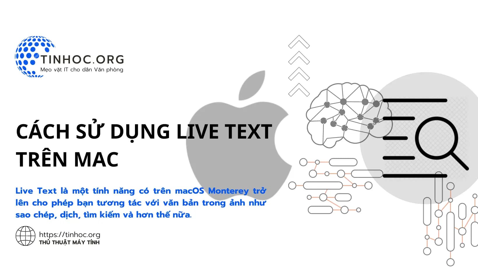 Cách sử dụng Live Text trên Mac