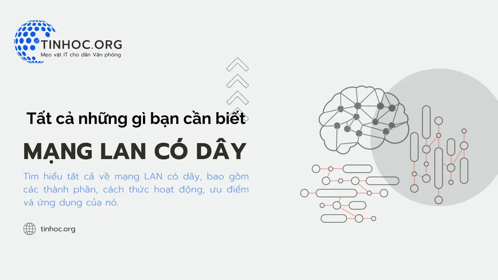 Mạng LAN có dây: Tất cả những gì bạn cần biết Mạng LAN có dây: Tất cả những gì bạn cần biết