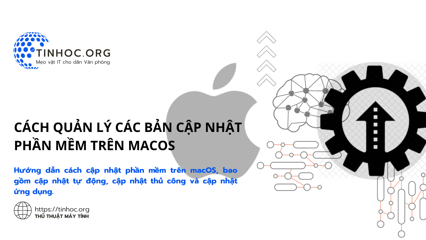 Cách quản lý các bản cập nhật phần mềm trên macOS Cách quản lý các bản cập nhật phần mềm trên macOS