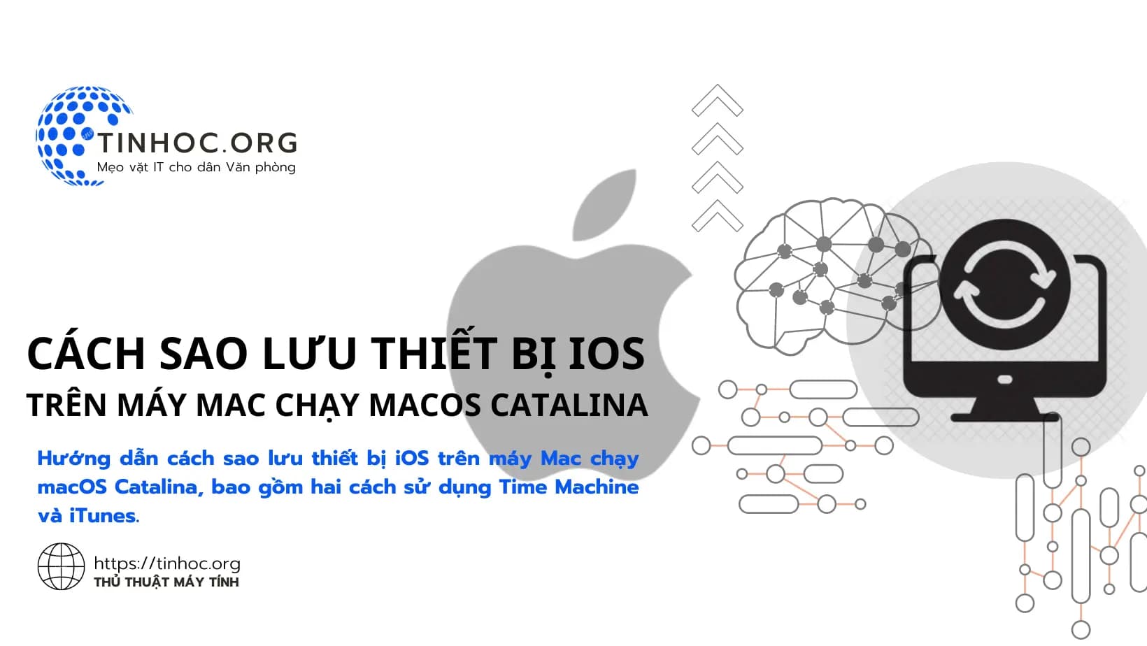 Cách sao lưu thiết bị iOS trên máy Mac chạy macOS Catalina Cách sao lưu thiết bị iOS trên máy Mac chạy macOS Catalina